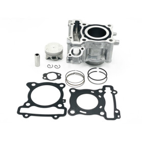 95011034.jpg Cilindro completo yamaha 125 yzf-r - fantic125