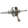 95021011.jpg Albero motore kymcoagility/dink/like 50 4t -sym fi