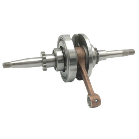 95021011.jpg Albero motore kymcoagility/dink/like 50 4t -sym fi
