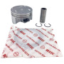 95151017.jpg Pistone ø 52 yamaha x max - wr - yzf r 125 rings r