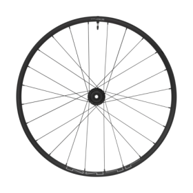 WH-MT601-TL-R12-B-29_C6_1.jpg.thumb.1280.1280.png RUOTA POST. MT601 29"" 12X148 PP / 25C / TL / 12V