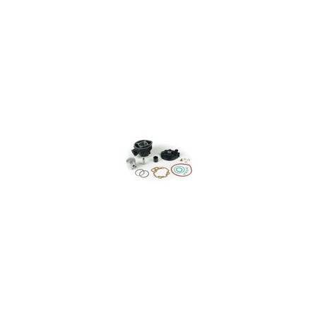 9906830.jpg PISTONE COMPLETO D.49 (AM 345)