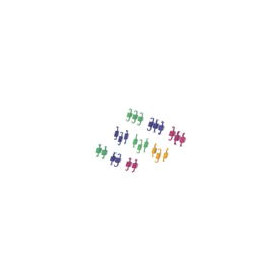 9911250.jpg S.MOLLE FRIZ. (3)