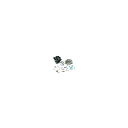 9914270.jpg GRUPPO PIAGGIO GILERA H2O