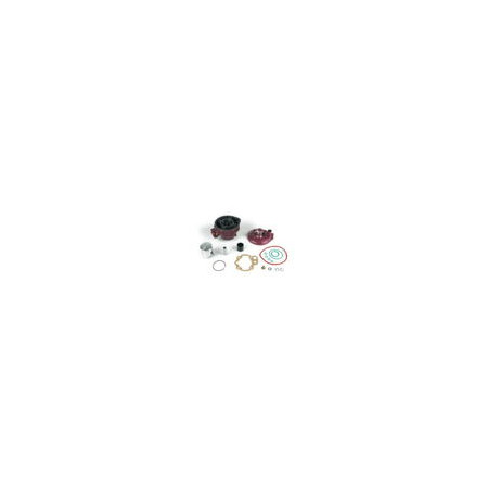 9915780.jpg PISTONE COMPL. D.49,5 ""RACING"" PER AM