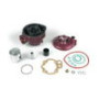 9915780.jpg PISTONE COMPL. D.49,5 ""RACING"" PER AM