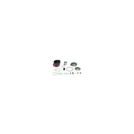 9921320.jpg S.GUARN. AM6 TESTA SCOMPOSTA