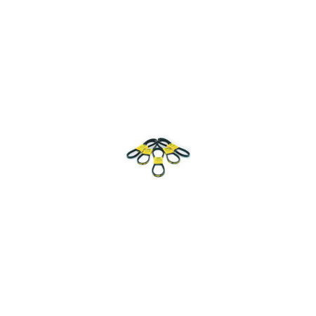 9922030.jpg CINCHIA