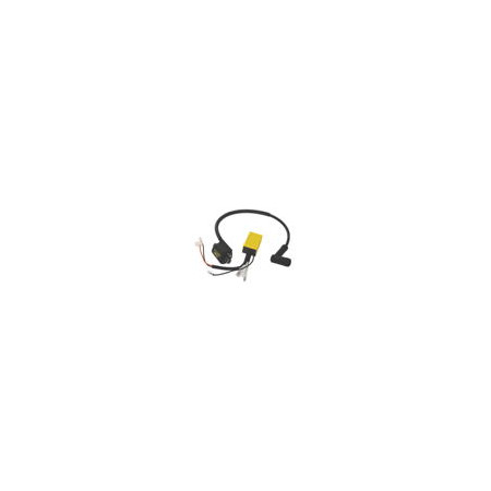 9924870.jpg CENTRALINA ANT.FISSO PIAGGIO