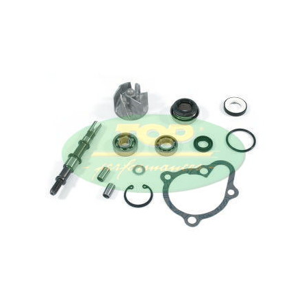 AA00816.jpg KIT REV.KYMCO 250