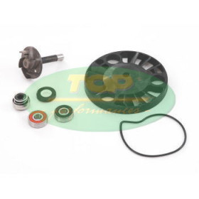 AA00817.jpg KIT REVISIONE P.A.PIAGGIO 200