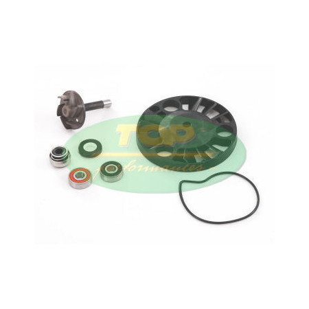 AA00817.jpg KIT REVISIONE P.A.PIAGGIO 200