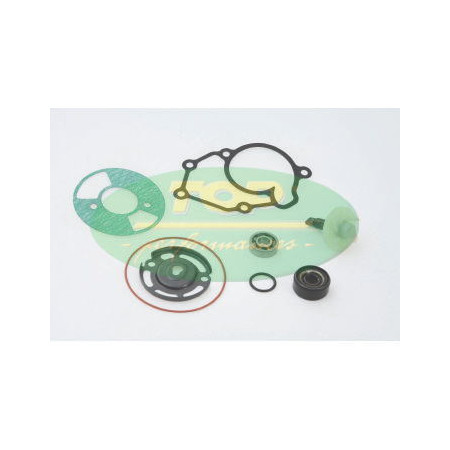 AA00823.jpg KIT REVISIONE POMPA X-MAX 125