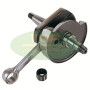 IM07005.jpg ALBERO MOTORE PIAGGIO VESPA 50 S NORMALE (CONO 19) IM07005.jpg ALBERO MOTORE PIAGGIO VESPA 50 S NORMALE (CONO 19)