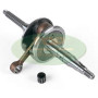 IM07014.jpg ALBERO MOTORE F12 LUNGO SU VARIATORE IM07014.jpg ALBERO MOTORE F12 LUNGO SU VARIATORE