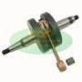 IM07066.jpg ALDERO MOTORE DERBI (D50B0)PIAGGIO