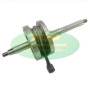 IM07073.jpg ALBERO MOTORE PIAGGIO 50/100CC 4T