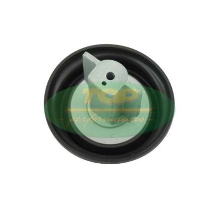 MC12107.jpg MEMBRANA CARB. PIAGGIO CM140302