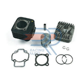 PT0100.jpg PISTONE D 49
