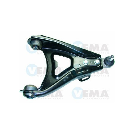 BRACCIO SOSP. DX RENAULT (COMPLETO)