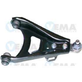 BRACCIO SOSP. DX RENAULT (COMPLETO)