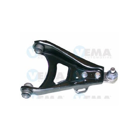 BRACCIO SOSP. DX RENAULT (COMPLETO)