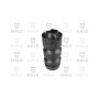 TAMP.AMM.ANT.5CENTO-6CENTO TAMP.AMM.ANT.5CENTO-6CENTO
