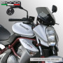 8010226 KAWASAKI ER6N.jpg CUP.KAWASAKI ER-6N 2006- FUME'SCURO C/SE
