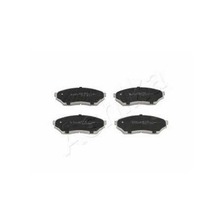 ASHIKA PAST ANT PAJERO