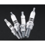 CANDELE CHAMPION.jpg CANDELA CHAMPION OE083-RA6HC