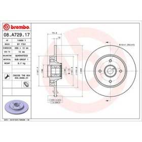 DISCO FRENO CON CUSCINETTO INTEGRATO
