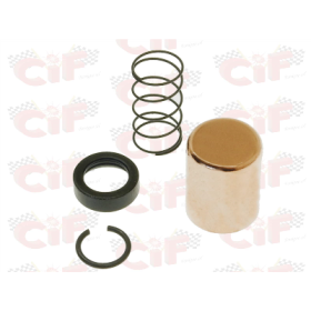 7110 (1).jpg KIT REVISIONE MOTORINO COMPLETO DI DISTANZIALE VES