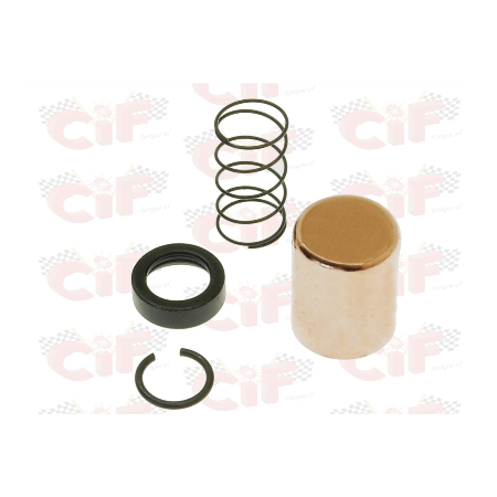 7110 (1).jpg KIT REVISIONE MOTORINO COMPLETO DI DISTANZIALE VES