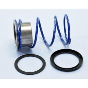 243.107.jpg MOLLA CONTR.EVO-SLIDER VESPA 300