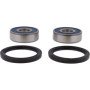 4110674.jpg Kit cuscinetti ruota anteriore (rif. all-balls: 25