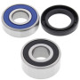4110742.jpg Kit cuscinetti ruota anteriore (rif. all-balls: 25