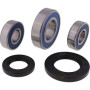 4110744.jpg Kit cuscinetti ruota posteriore (rif. all-balls: 2