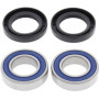 4110757.jpg Kit cuscinetti ruota anteriore (rif. all-balls: 25