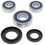 4110767.jpg Kit cuscinetti ruota posteriore (rif. all-balls: 2