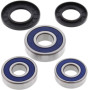 4110783.jpg Kit cuscinetti ruota posteriore (rif. all-balls: 2