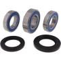 4110796.jpg Kit cuscinetti ruota posteriore (rif. all-balls: 2
