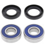 4110806.jpg Kit cuscinetti ruota anteriore (rif. all-balls: 25