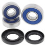 4110813.jpg Kit cuscinetti ruota posteriore (rif. all-balls: 2