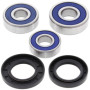 4110819.jpg Kit cuscinetti ruota posteriore (rif. all-balls: 2