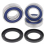 4110825.jpg Kit cuscinetti ruota posteriore (rif. all-balls: 2