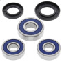 4110857.jpg Kit cuscinetti ruota posteriore (rif. all-balls: 2