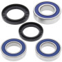 4110887.jpg Kit cuscinetti ruota posteriore (rif. all-balls: 2