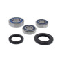 4110905.jpg Kit cuscinetti ruota posteriore (rif. all-balls: 2