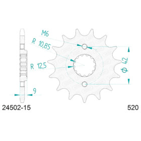 542450215A.jpg Pignone afam in acciaio p520 - z15 (dis.24502)