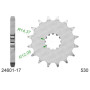 542460117A.jpg Pignone afam in acciaio p530 - z17 (dis.24601)